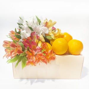 Get Well Fresh Floral - Benzie Gifts